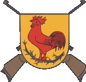 SV Dornhan